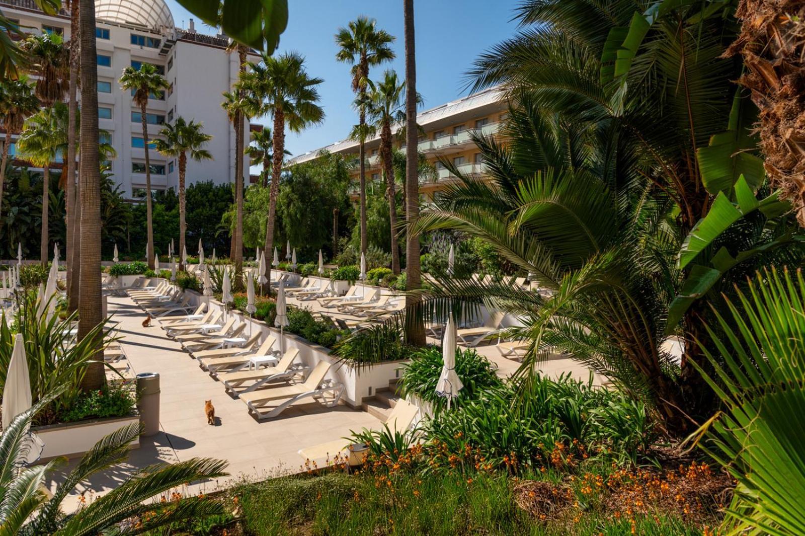 Aqua Hotel The Breeze (Adults Only +18) All Inclusive Santa Susanna Extérieur photo